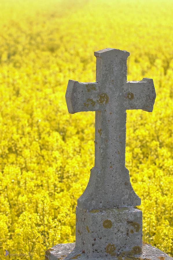 Nom de l'image : D2162611_1_(c)Norbert-JUNG — Description :